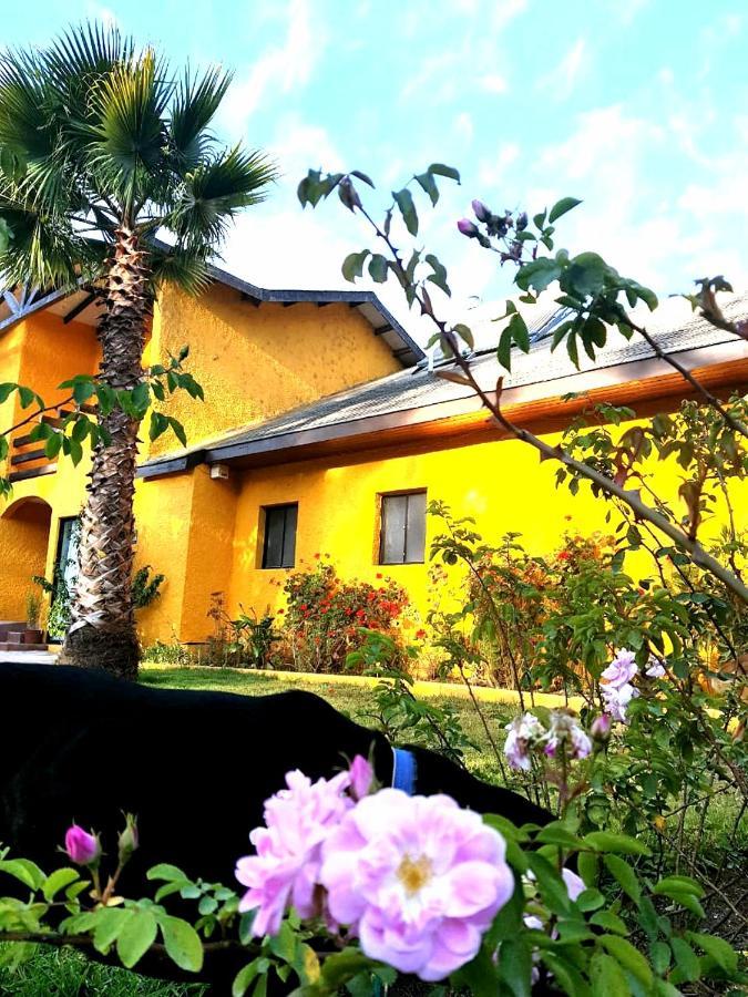 Gasthaus Casa Felice La Serena Exterior foto