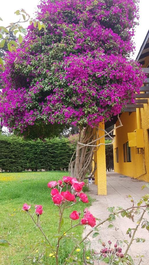Gasthaus Casa Felice La Serena Exterior foto