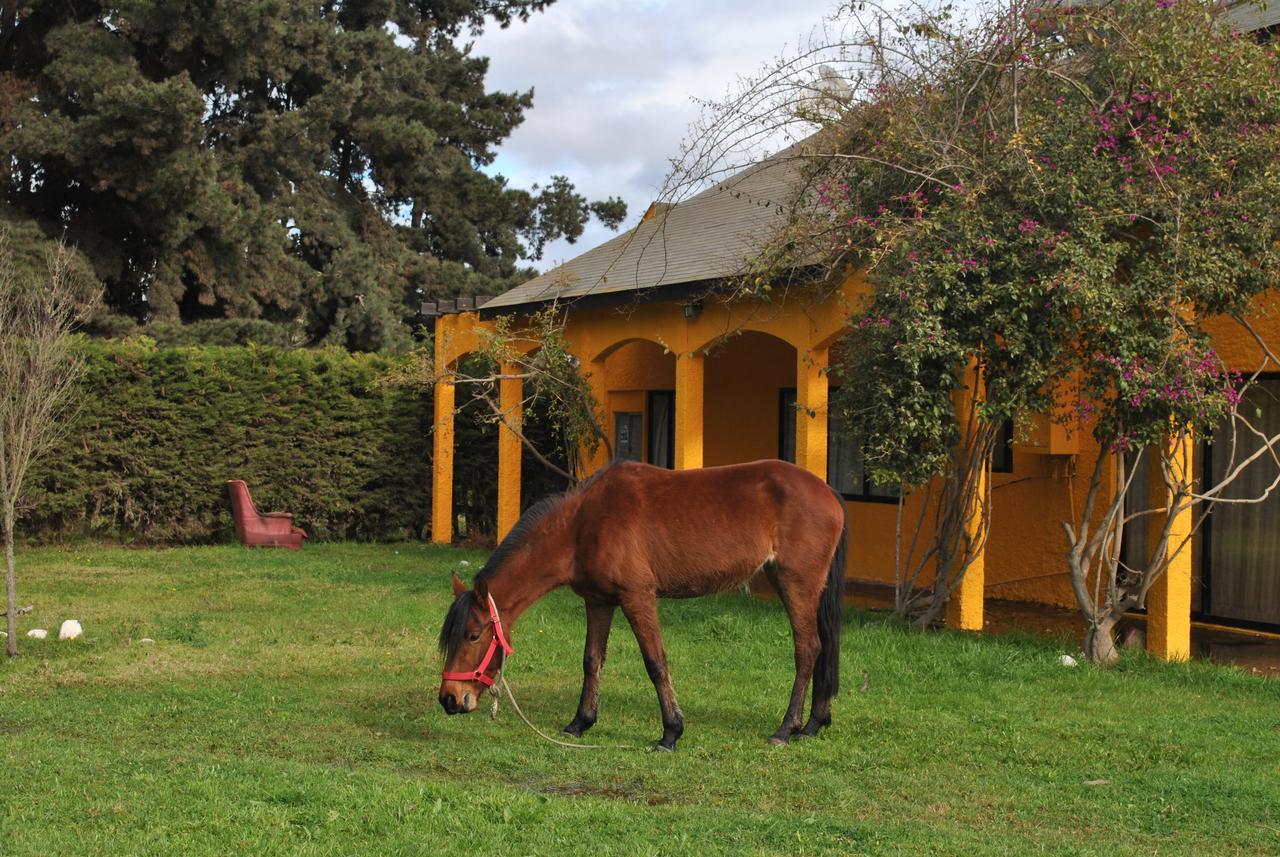 Gasthaus Casa Felice La Serena Exterior foto