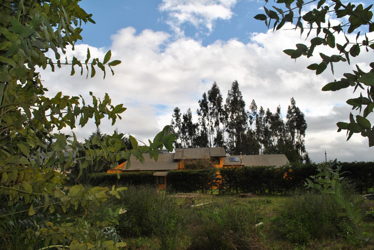 Gasthaus Casa Felice La Serena Exterior foto